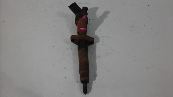 Reparatii injectoare RENAULT LAGUNA II (2001-)