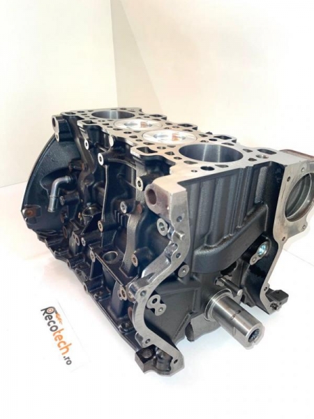 Reparatii motor RENAULT FLUENCE