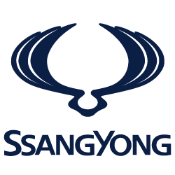 Reconditionari auto SSANGYONG